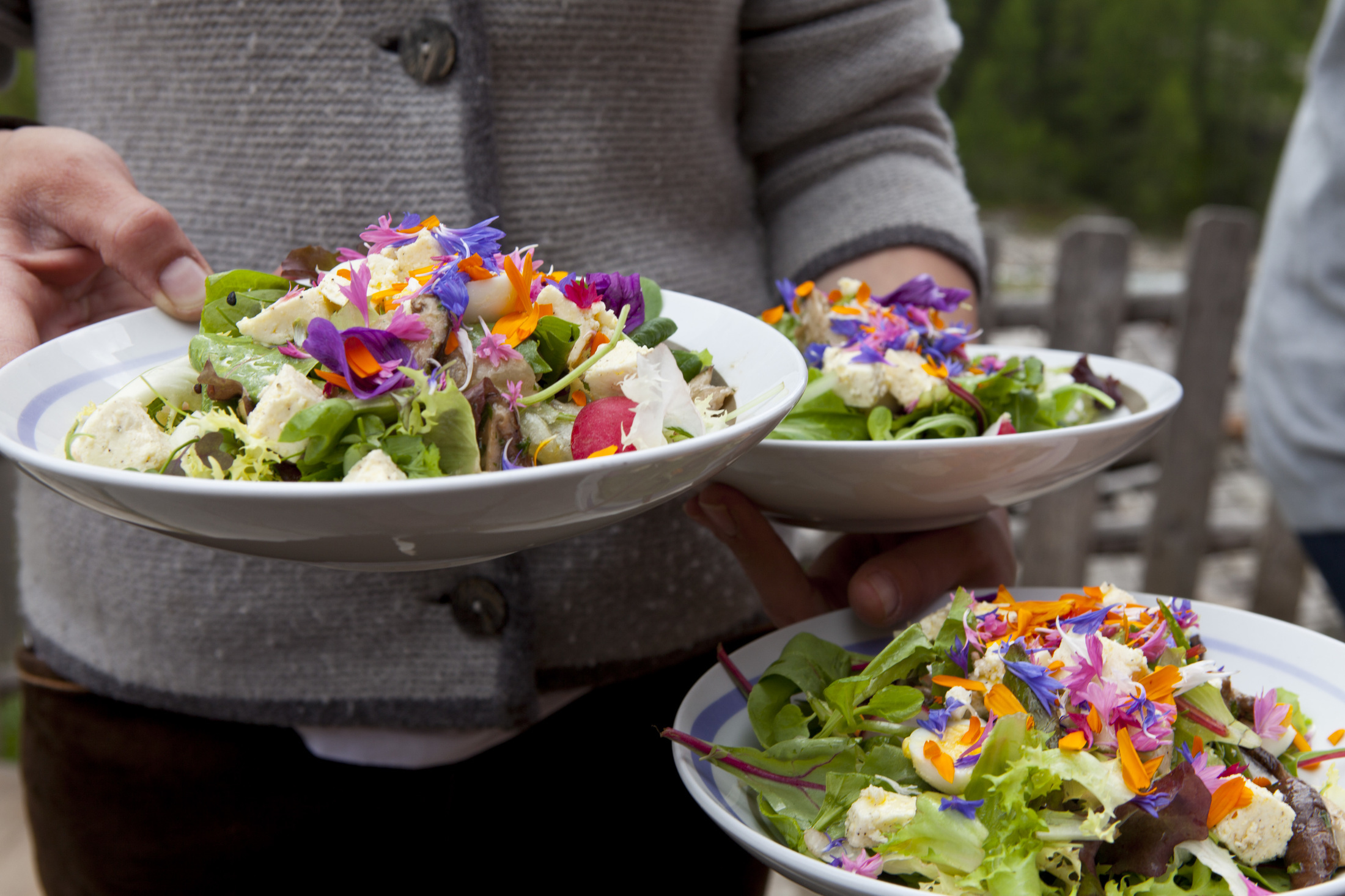 Salat aus dem Garten der Mitterkaseralm im Schnalstal