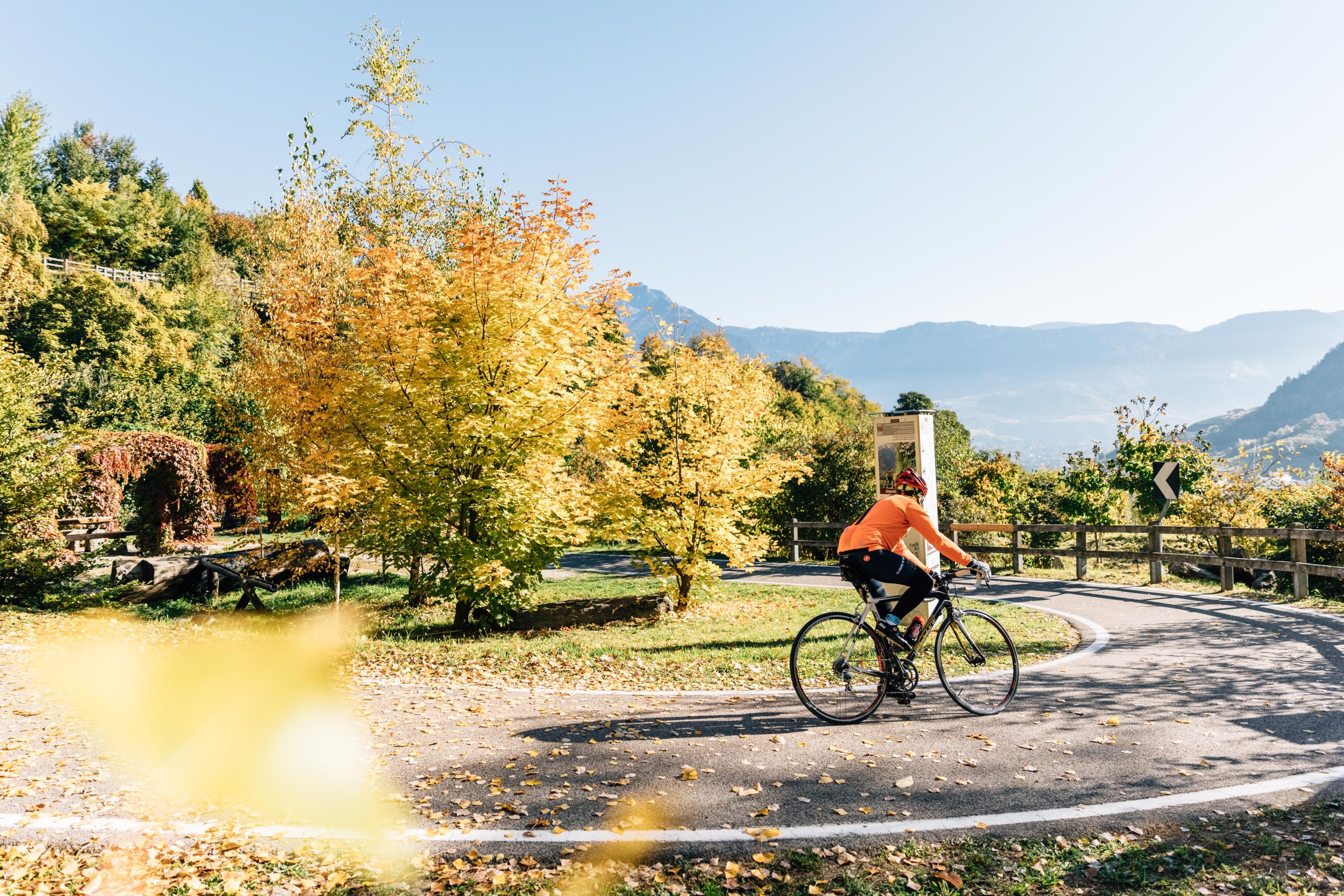 Benjamin_Pfitscher_HQ_bp_341227_c_benjamin_pfitscher (44)