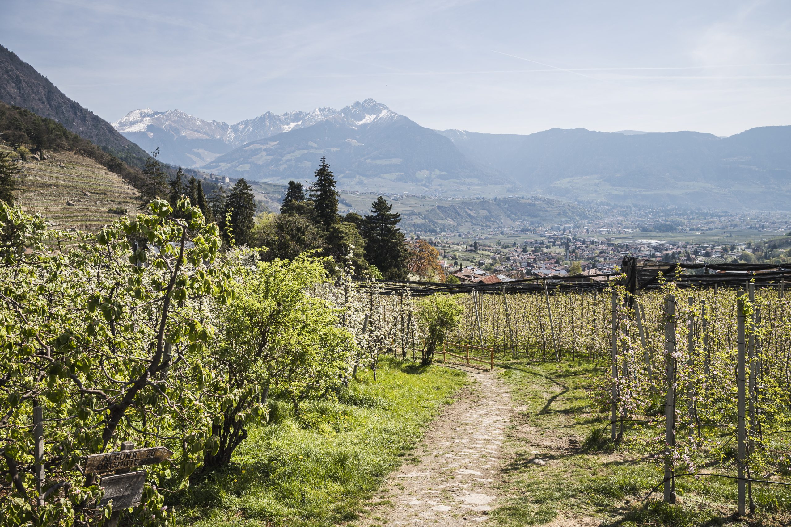 (C) Hannes Niederkofler_HQ-9032